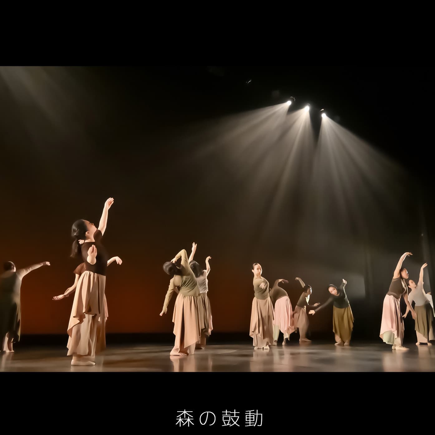 バレエ教室：福本まゆみモダンバレエアート（豊中市・緑地公園）：第７回ミニコンサート：森の鼓動