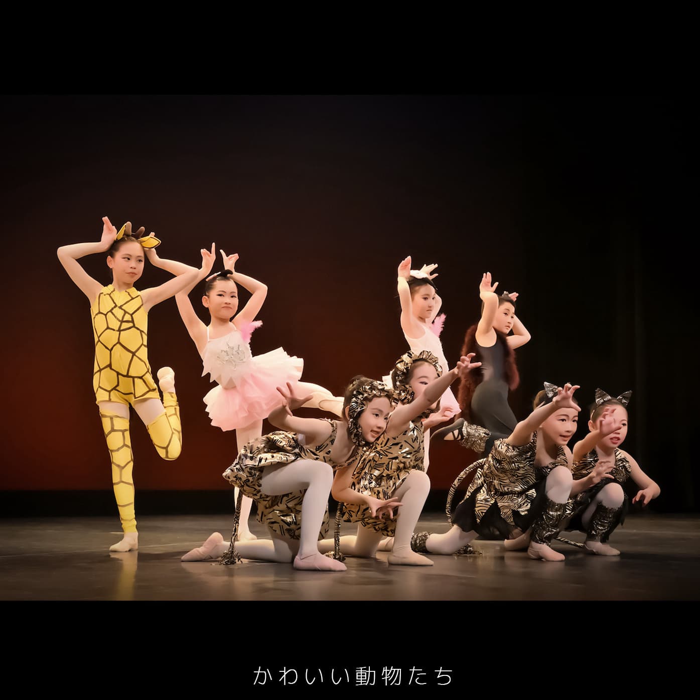 バレエ教室：福本まゆみモダンバレエアート（豊中市・緑地公園）：第７回ミニコンサート：かわいい動物たち