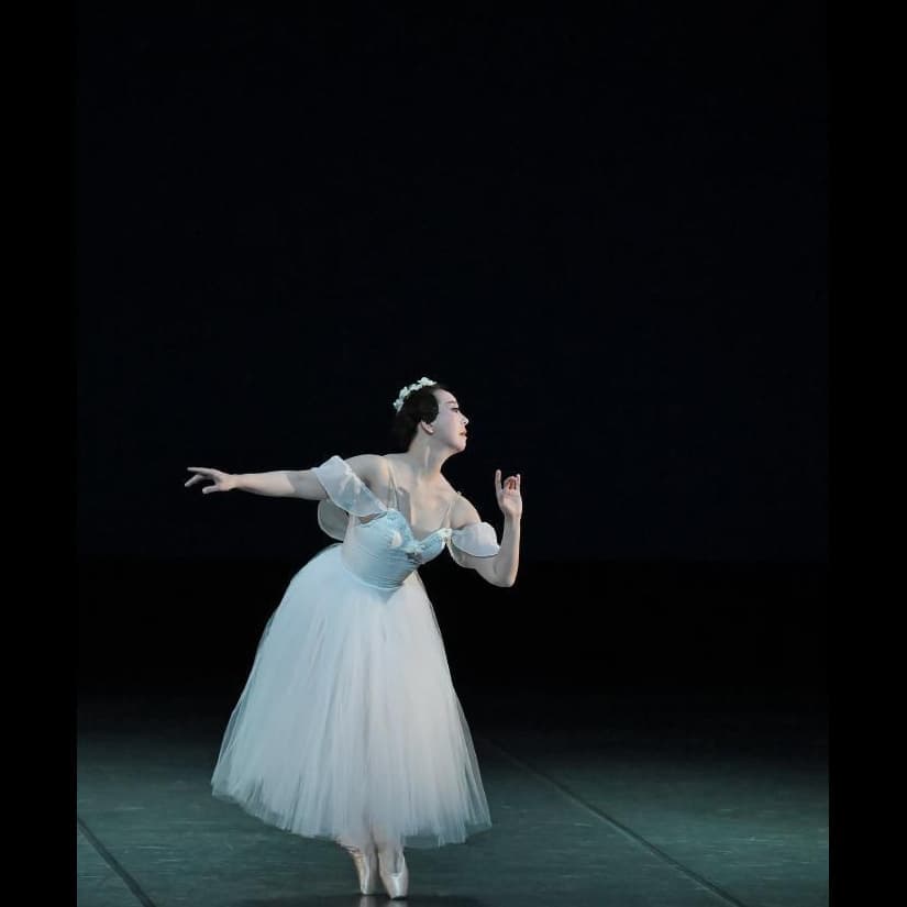 小品集／日本の情景：福本まゆみモダンバレエアート第19回発表会：福本まゆみモダンバレエアート：大阪・服部緑地・豊中